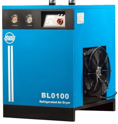 рефрижераторный осушитель Magnus BL0100